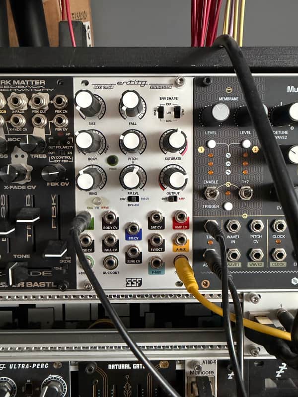 Steady State Fate Entity Bass drum