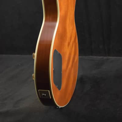 Eastman SB54/TV-GD-LTD Limited Edition Goldtop Truetone Vintage Gloss image 6