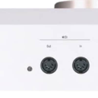 Arturia AstroLab 61-Key Stage Keyboard, White image 7