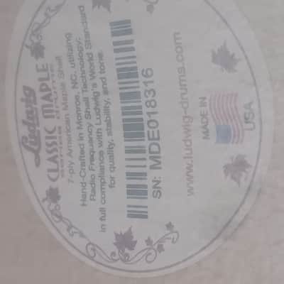 Ludwig LS401 Classic Maple 5x14" 10-Lug Snare Drum 1998 - Present - Natural Maple Lacquer image 14