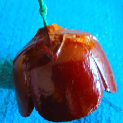 Japanese Wind Bell - Cast Iron image 4