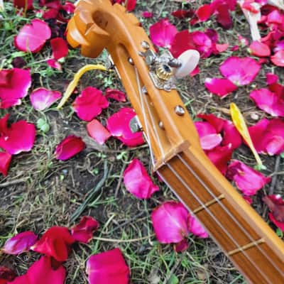 Georgian folk music instrument Panduri | String instrument Panduri | ფანდური | Fanduri image 14
