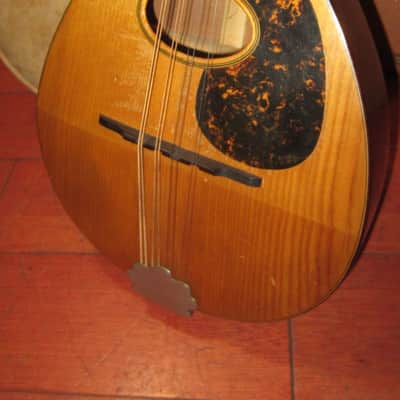 ~1920s SS Stewart Mandolin Natural image 3