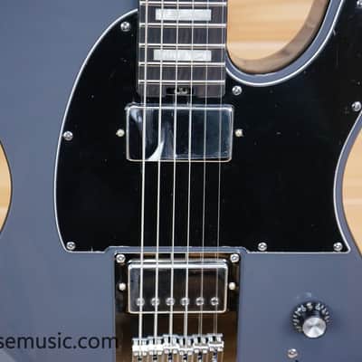 Schecter PT EX - Dorian Gray image 4