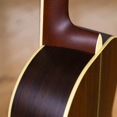 Lyon & Healy Lakeside Parlor Acoustic Electric - Indian Rosewood #004 image 18