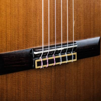 1977 Ibanez Model 2802M natural image 5