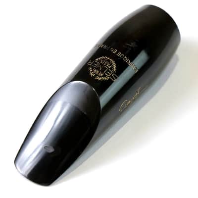 SELMER Selmer SS CONCEPT Soprano Saxophone Mouthpiece (05/19) image 1