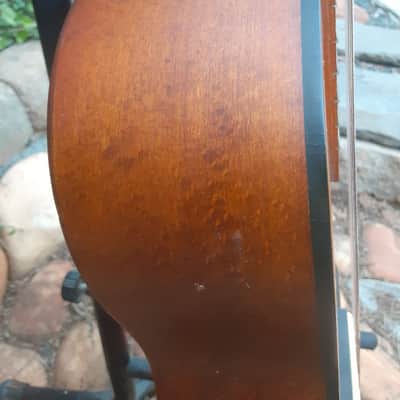 Amigo by Lotus AM30 3/4-Size Classical Nylon String Acoustic Guitar image 18