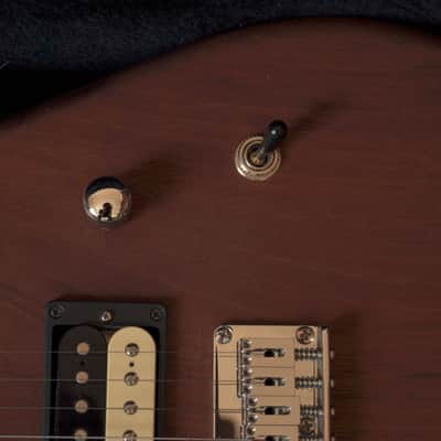 Wayne Charvel Guitars Monster handmade by himself image 4