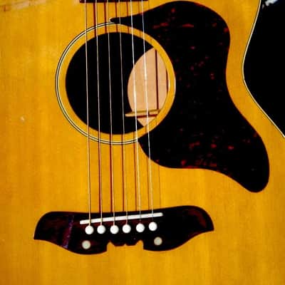 Mosrite Serenade Acoustic 1965 Natural image 8