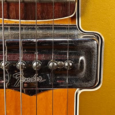 Fender  Coronado II 1967 Natural Semihollow Mod image 4