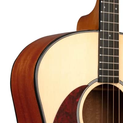 Gold Tone TG-10/L Spruce Top Mahogany Neck 4-String Acoustic Tenor Guitar with Gig Bag For Left Handed Players image 5