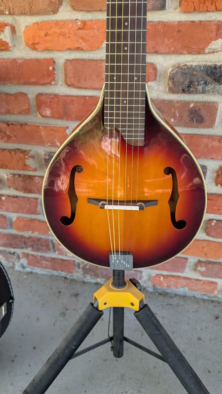 Gold Tone GM-6 Manditar