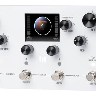 MERIS Modular Delay System / Looper image 2