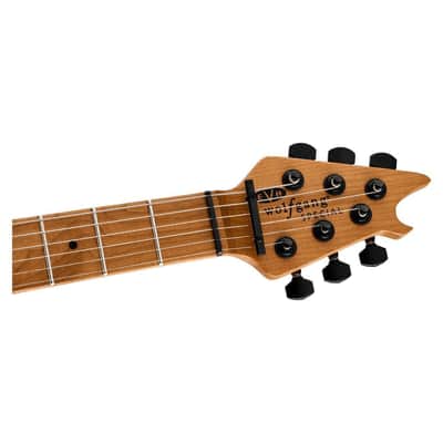 EVH Wolfgang Special T.O.M 6-String Right-Handed Electric Guitar with Basswood Body, Baked Maple Neck, and Baked Maple Fingerboard (Gloss Black) image 5