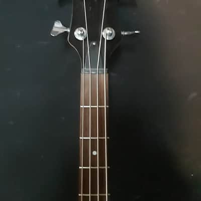 Eastwood Magnum LH 2011 2 Color Sunburst image 2