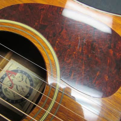 Alvarez 5040 Hand Made Silver Anniversary Walnut Acoustic Electric Guitar image 9