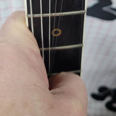 Early Washburn A20V, HC, V neck CSB image 4