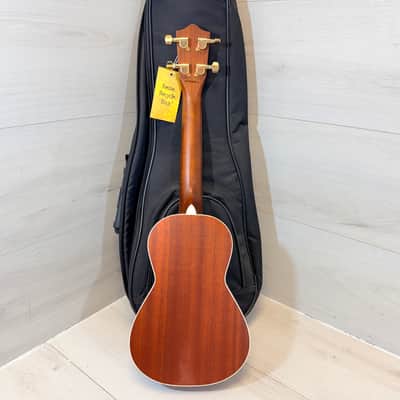 Lanikai LU-22CGC Concert Ukulele Mahogany w/ Road Runner Gig Bag 2010's image 6