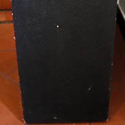 Newton Limec R200 electric and acoustic guitar combo amp 2x8 vintage 70s image 5