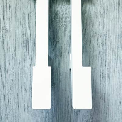 Yamaha DGX-200,202,203,205,220,230,DGX-300 DGX-305 Top 2-White D,F Key Group