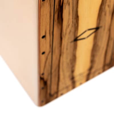 Meinl Artisan Edition image 3