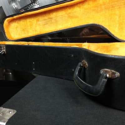 Vintage 1970's Gold Interior Acoustic Case image 5
