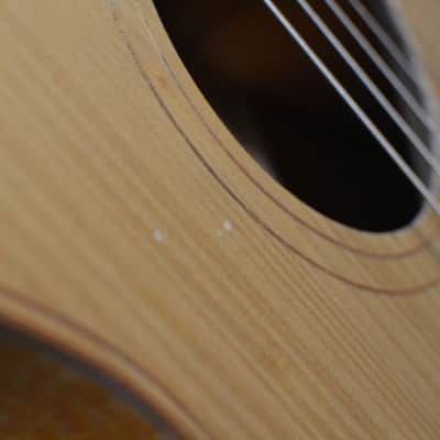 Cole Clark Angel 2 Grand Auditorium Bunya Silky Oak w/ FREE Same Day Shipping image 9