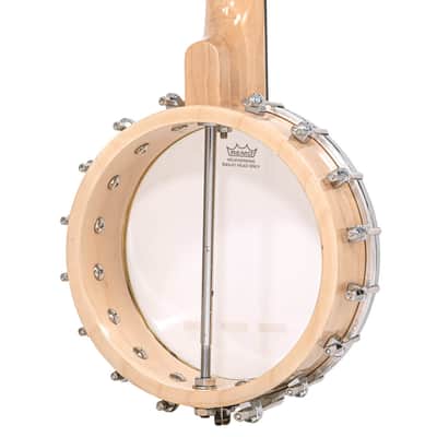 GOLD TONE CC-Mini Cripple Creek Short Scale LEFTY BANJO new w/ GIG BAG image 10