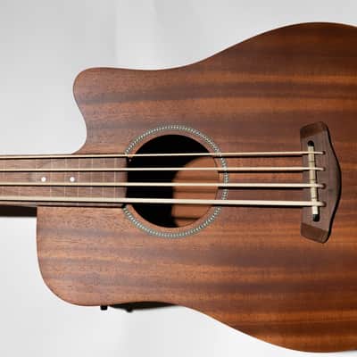 Gold Tone M-Bass23/FL Acoustic-Electric Fretless Bass Guitar image 5