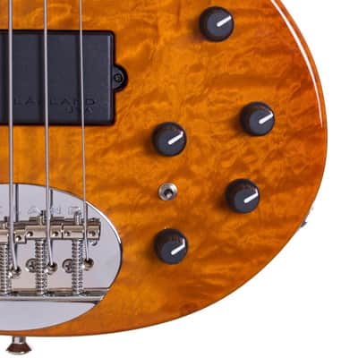Lakland 55-94 Deluxe 5 String Translucent Amber image 7