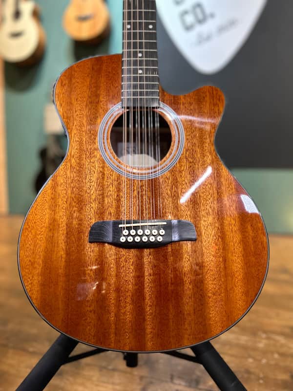 Brunswick BTK5012M Electro-Acoustic (12-STRING) Guitar image 1