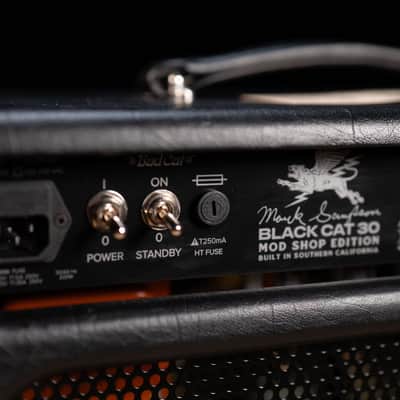 Bad Cat Mod Shop Black Cat 1x12 30W 2-Channel Tube Combo Amp image 10