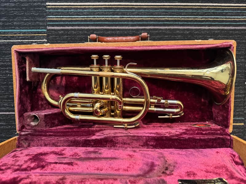 Holton Collegiate cornet - yellow brass, nickel ferrules image 1