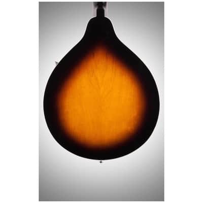 Washburn M1 Mandolin Pack with Gigbag image 6