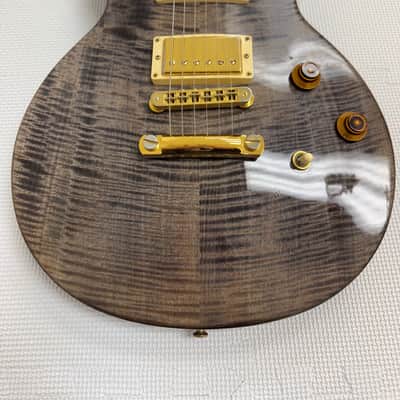 Gibson Les Paul Standard Double Cutaway Plus image 6