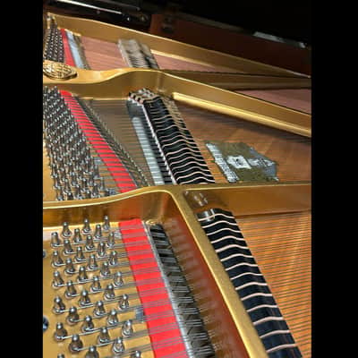 5'10 Grand Piano – Polished Ebony Sojin DG-2 image 8