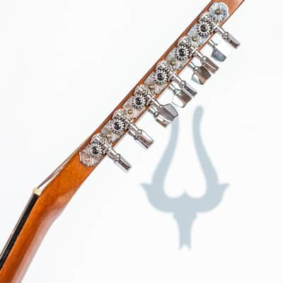 Daion MUGEN Mark I / 12 String w/ Factory Transducer Pickup image 16