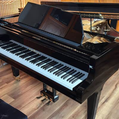 Schimmel Model 208 Limited Edition 89/250 1988 - Ebony Polish imagen 9