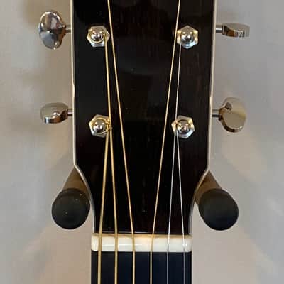Froggy Bottom M 2021 - Gloss Nitro image 3