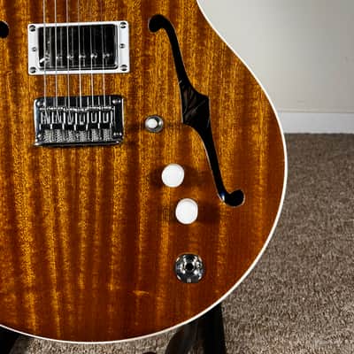 Catalyst Ember Semi-Hollow Electric Guitar - Sapele - Gloss Nitro image 5