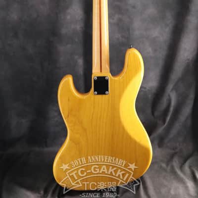 Fujigen(FGN) 2009 NCJB-10 image 7