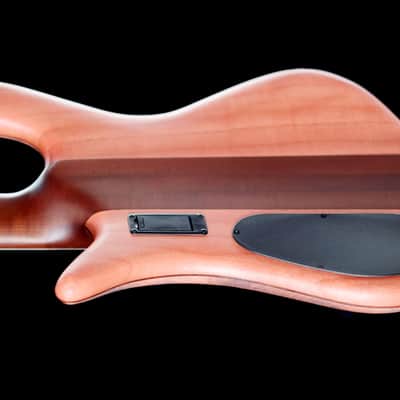 Spector Euro 5 RST 2024 - Roasted Sundown Glow image 6