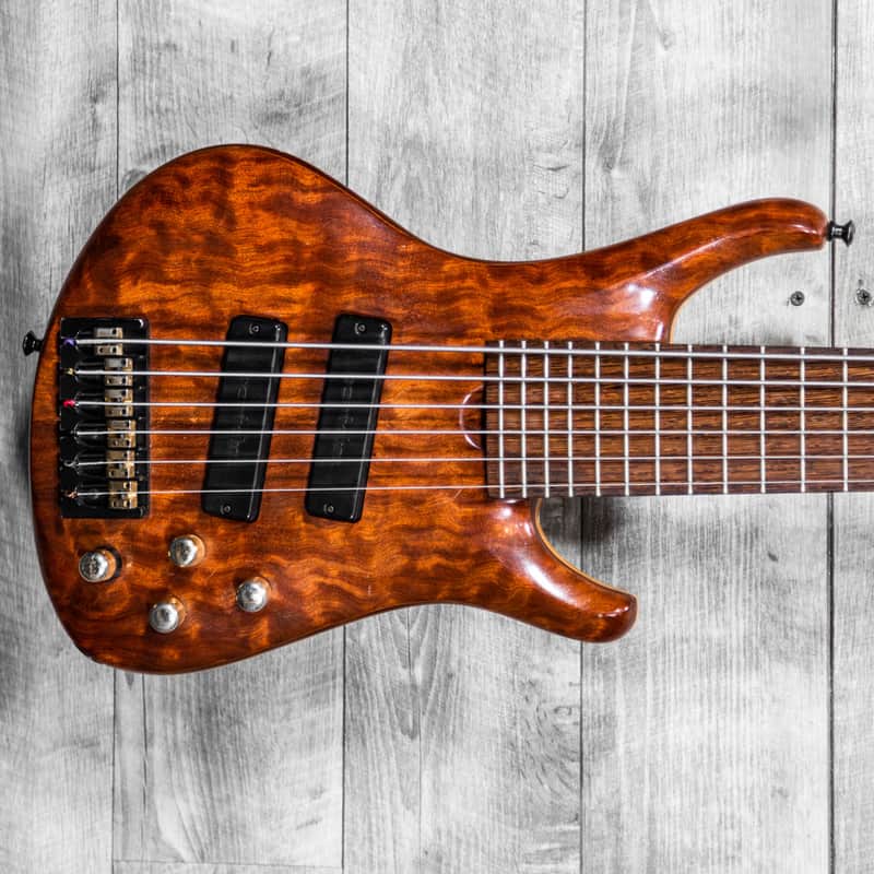 Roscoe LG3006 6-String Bass w/GigBag | Reverb