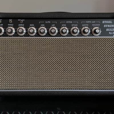Amplified Nation Steel String Sultan SSS 100 watt Two Rock Dumble Style image 1