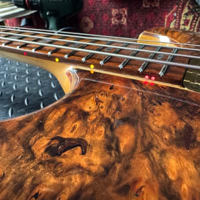 Alembic Custom EvH Signature Series II Superfilter image 16