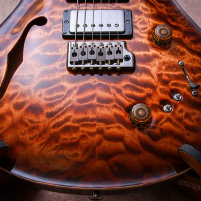 PRS USA Paul Reed Smith Wood Library Special 22 Semi Hollow 10-Top "Copperhead Burst" (2024) image 6
