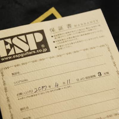 ESP D-DR-Ⅱ (Dir en grey  Die Signature Model) Die Red Mesh image 24
