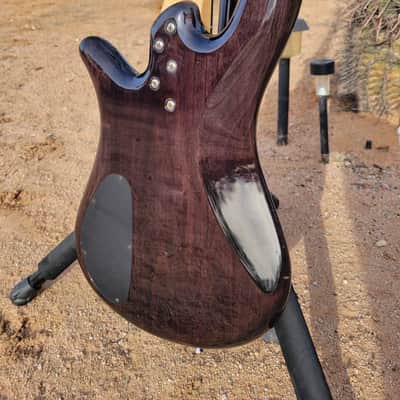 Spector Performer Early 2000's Transparent Brownish Gloss image 5