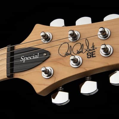 PRS SE Swamp Ash Special Iri Blue image 5